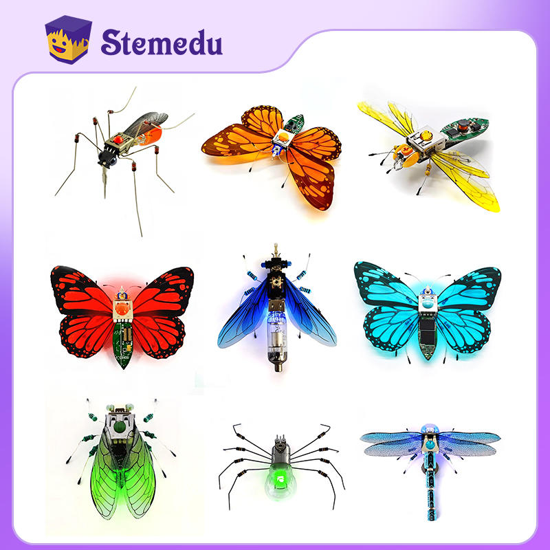Diy Electronics For Kids - STEAM DIY Toys Robot Insect Science