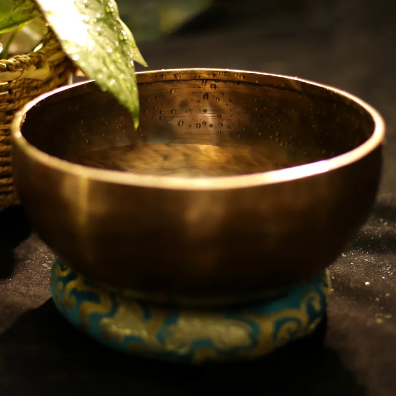 Therapeutic Tibetan Bowl Tibet – обзор и цена Learn Diy Electronics