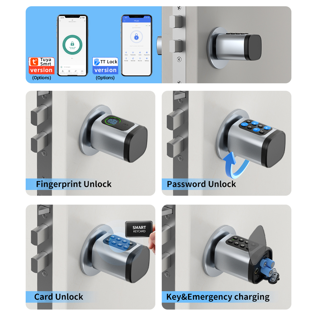 RAYKUBE V1 Tuya BLE TT Lock Sm – обзор и цена Diy Waterproof Electronics