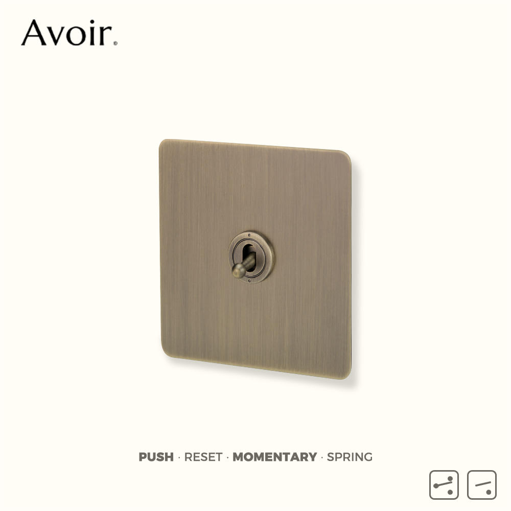 Avoir Retro Brass Momentary Sw – обзор и цена Push Button Tactile